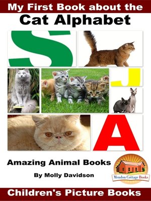 cover image of My First Book about the Cat Alphabet